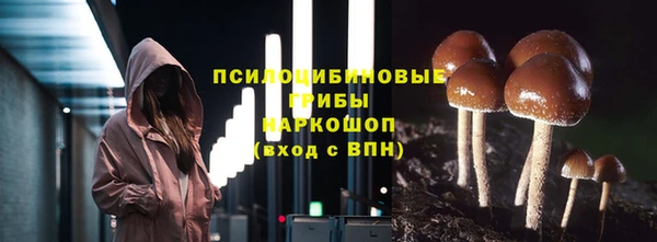 ПСИЛОЦИБИНОВЫЕ ГРИБЫ Лихославль