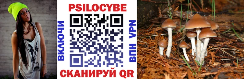 Псилоцибиновые грибы Magic Shrooms  Райчихинск 